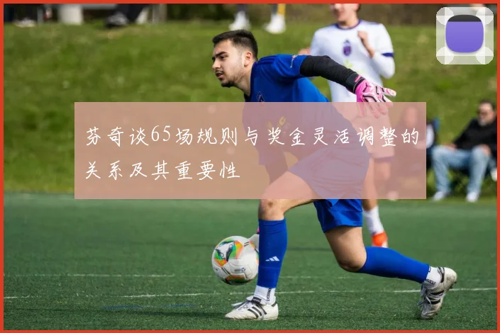 芬奇谈65场规则与奖金灵活调整的关系及其重要性