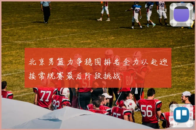 北京男篮力争稳固排名全力以赴迎接常规赛最后阶段挑战