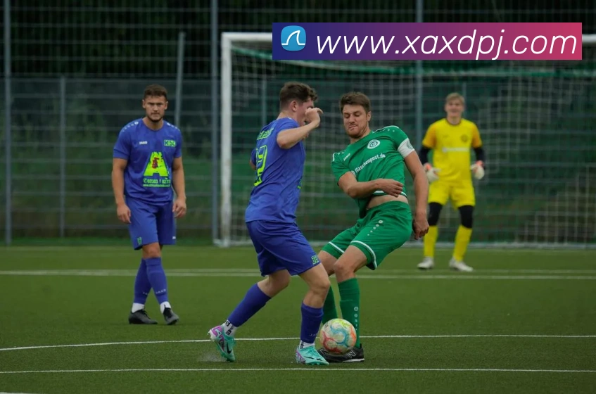 多媒体互动体验